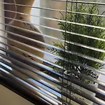 Rada, Bay View Apartment *